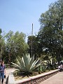 Mexico Pyramids - Mexico City 2009 1020
